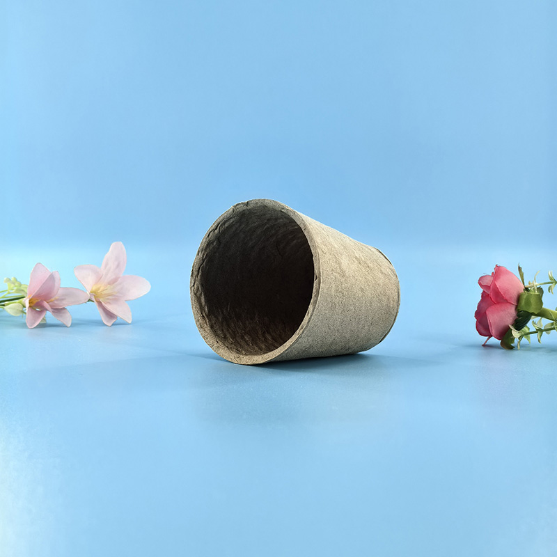 pulp mold